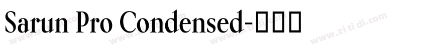 Sarun Pro Condensed字体转换
